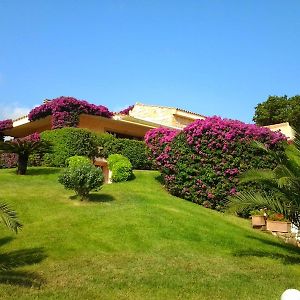 La Casa Del Mirto